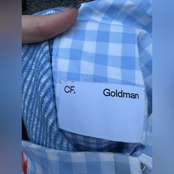 CF. goldman Blue Gingham Midi Dress - Picture 9 of 10